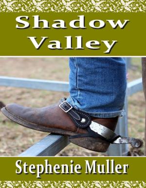 Cover of the book Shadow Valley by Carolyn Holbrook