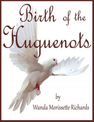 Cover of the book Birth of the Huguenots by Jaye B. Owens