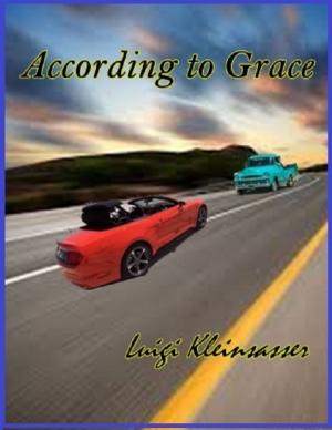 Cover of the book According to Grace by Oluwagbemiga Olowosoyo