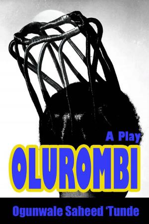 Cover of the book Olurombi by David Miklos
