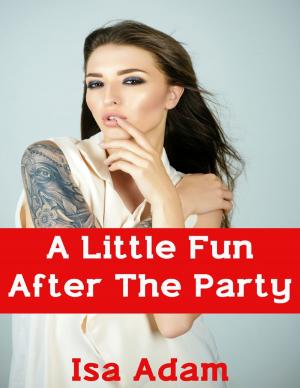 Book cover of A Little Fun After the Party