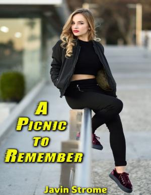 bigCover of the book A Picnic to Remember by 