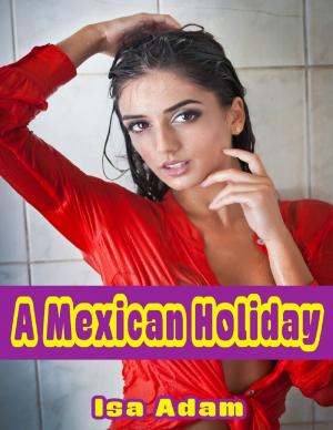Cover of the book A Mexican Holiday by Jessica Rhodes