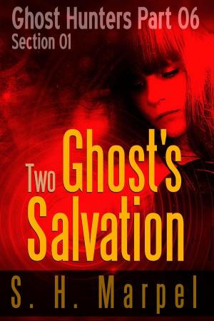Cover of the book Two Ghost's Salvation - Section 01 by Daniel Viau