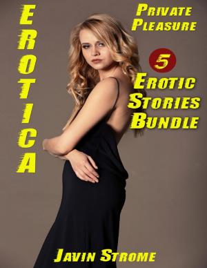 Book cover of Erotica: Private Pleasure: 5 Erotic Stories Bundle