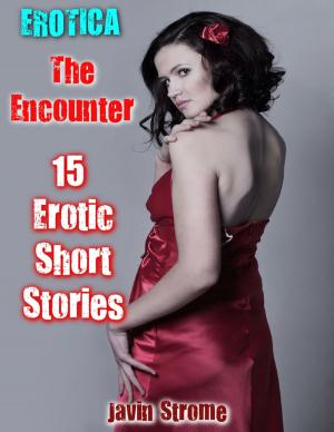 Book cover of Erotica: The Encounter: 15 Erotic Short Stories
