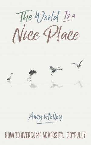 Cover of the book The World Is a Nice Place by Kyle Gray