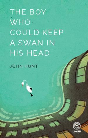 Cover of the book The Boy Who Could Keep A Swan in His Head by Pat Hopkins