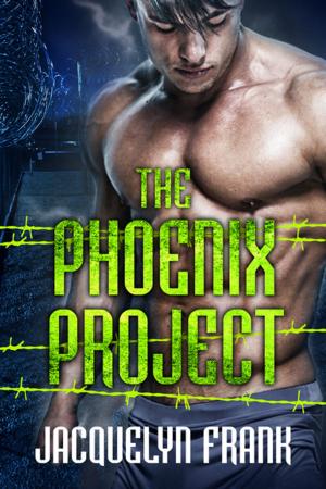 Cover of the book The Phoenix Project by Sally MacKenzie