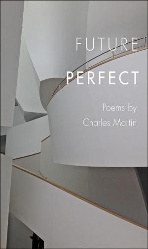 Cover of the book Future Perfect by Rebecca Anne Goetz