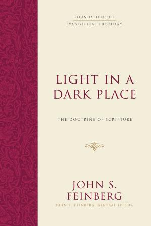 Book cover of Light in a Dark Place