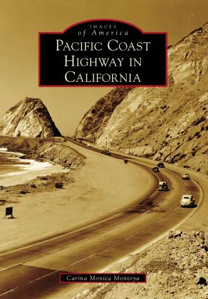 Book cover of Pacific Coast Highway in California