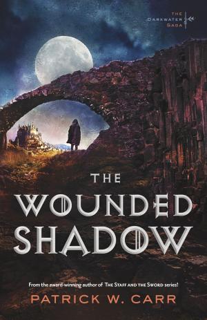 bigCover of the book The Wounded Shadow (The Darkwater Saga Book #3) by 