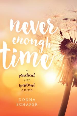 Cover of the book Never Enough Time by Steven Crook, Katy Hui-wen Hung