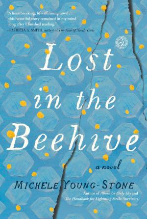 bigCover of the book Lost in the Beehive by 