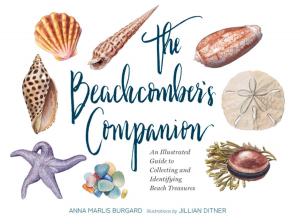 Cover of the book The Beachcomber's Companion by Maxwell Colonna-Dashwood