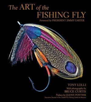Book cover of The Art of the Fishing Fly