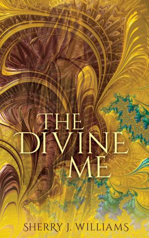 Cover of the book The Divine Me by Laurence Seeff