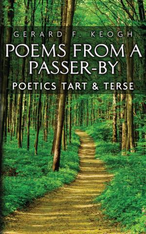 Cover of the book Poems from a Passer-by by Lida