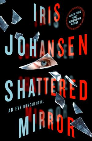 Cover of the book Shattered Mirror by Frances Park, Ginger Park