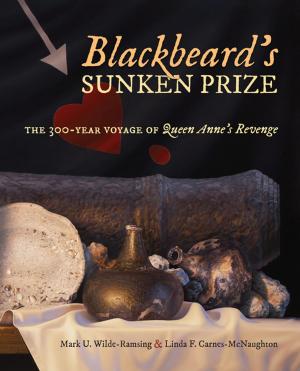Cover of the book Blackbeard's Sunken Prize by Lesley J. Gordon