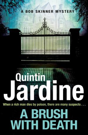 Cover of the book A Brush with Death (Bob Skinner series, Book 29) by Quintin Jardine