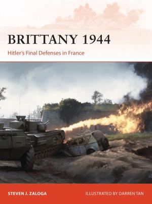 Cover of the book Brittany 1944 by Yossi Nehushtan
