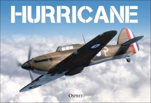 Book cover of Hurricane