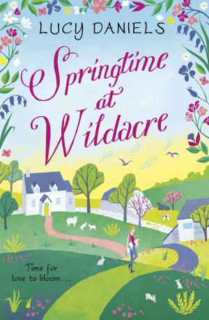Cover of the book Springtime at Wildacre by Gervase Phinn