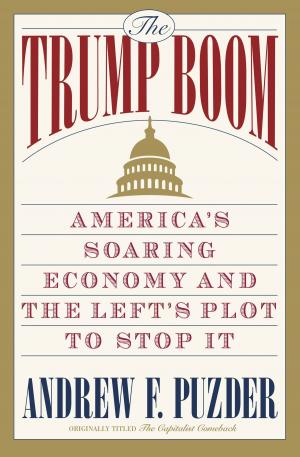 Cover of the book The Capitalist Comeback by Glenn Morton