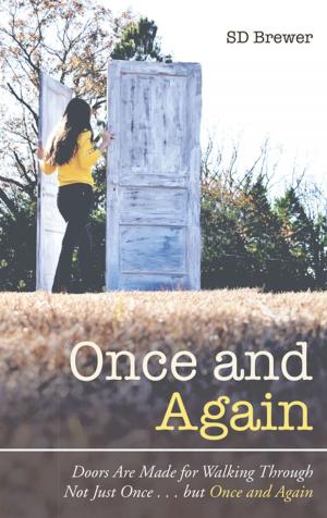 Cover of the book Once and Again by Otto Janke