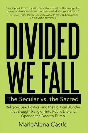 Cover of the book Divided We Fall by Mel Reisner