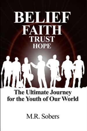 Book cover of Belief – Faith – Trust – Hope