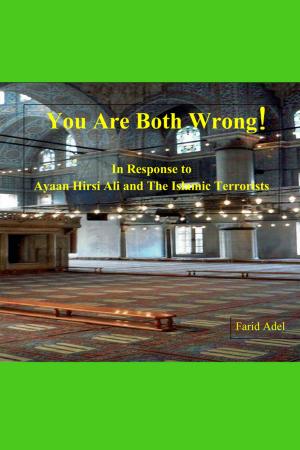 Cover of the book You Are Both Wrong! by Todd Marshall