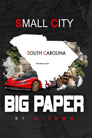 Cover of the book Small City Big Paper by Henry (Hank) J. Silva