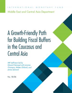 Cover of the book A Growth-Friendly Path for Building Fiscal Buffers in the Caucuses and Central Asia by International Monetary Fund. External Relations Dept.