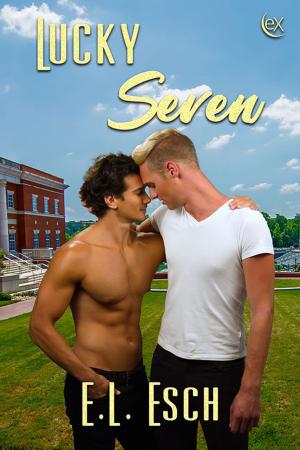 Cover of the book Lucky Seven by Dee Brice