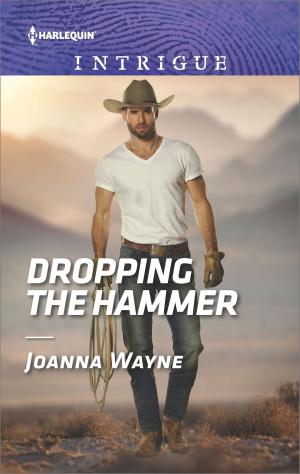 Cover of the book Dropping the Hammer by Lynette Eason, Margaret Daley