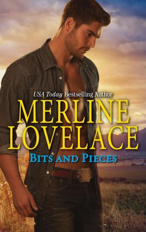Cover of the book Bits & Pieces by Dawn Metcalf