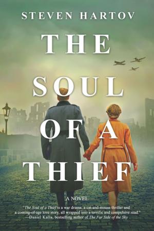 Cover of the book The Soul of a Thief by Damian Dibben