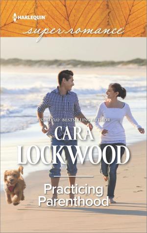 Cover of the book Practicing Parenthood by C.J. Baty