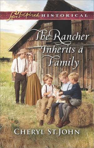 Cover of the book The Rancher Inherits a Family by Darrell Egbert