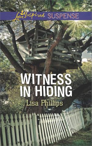 Cover of the book Witness in Hiding by Annie Burrows