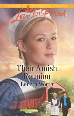 Book cover of Their Amish Reunion
