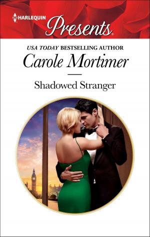 Cover of the book Shadowed Stranger by Maggie Shayne