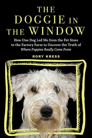 Cover of the book The Doggie in the Window by Claire Legrand