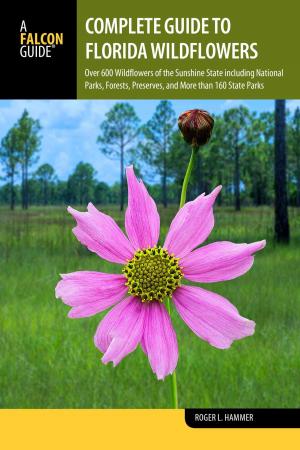 Cover of the book Complete Guide to Florida Wildflowers by Heather Jordan