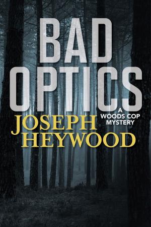 Cover of the book Bad Optics by Roy Marcot