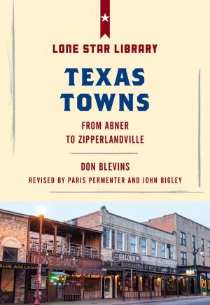 Book cover of Texas Towns
