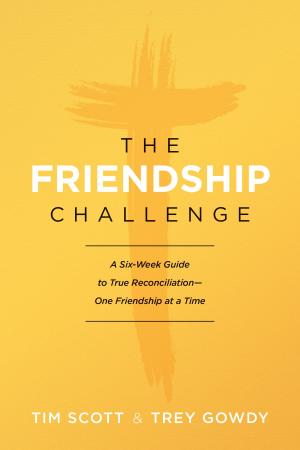 Book cover of The Friendship Challenge